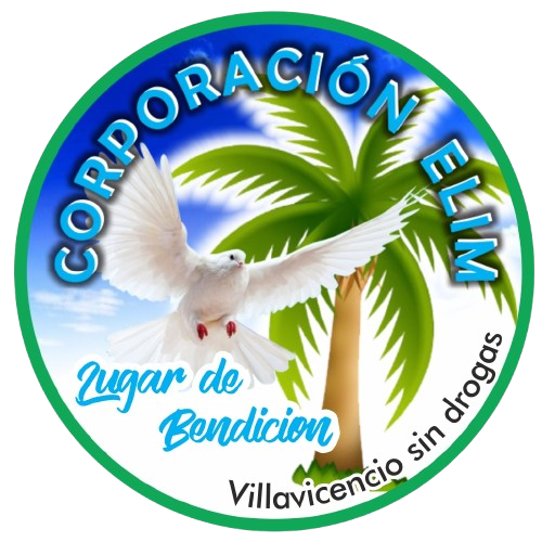 LOGO ELIM Fundación Hogar Elim