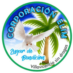 LOGO ELIM  Fundación Hogar Elim