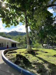 upscalemediatransformed Fundación Hogar Elim